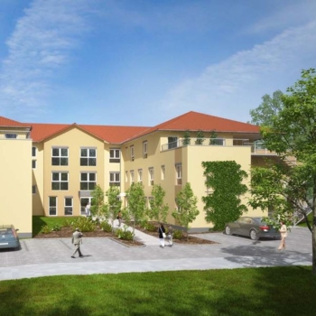 Menetatis Wöllstein Foto Menetatis